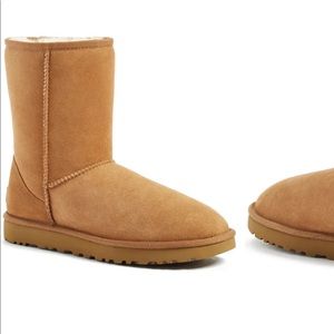 Chestnut uggs